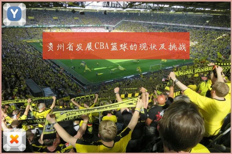 贵州省发展CBA篮球的现状及挑战