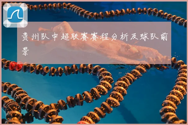 贵州队中超联赛赛程分析及球队前景